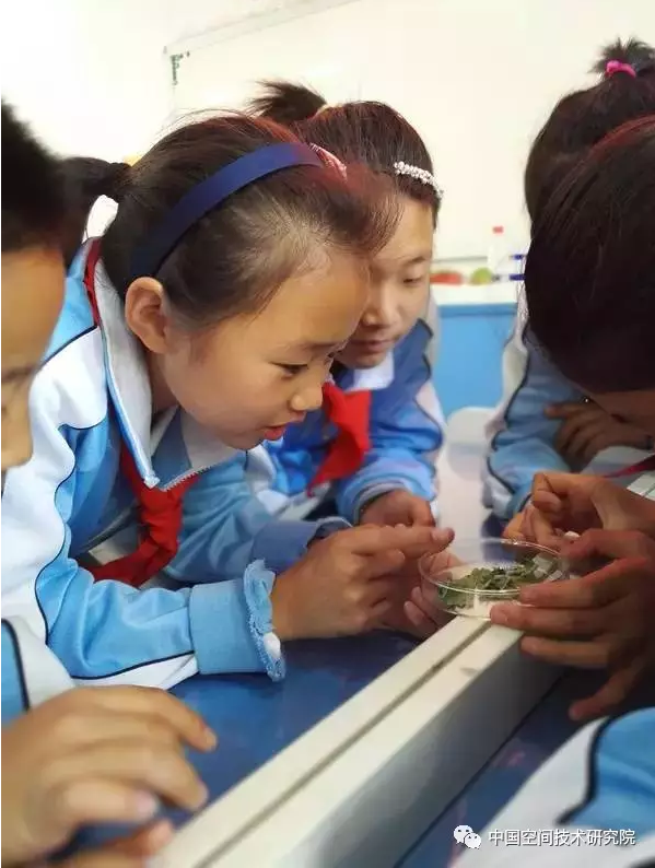 微信截图_20170426141802.png 微信截图_20170426141802.png
